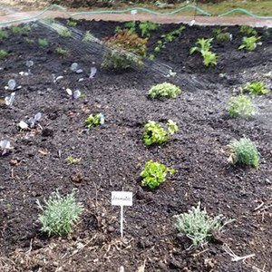 2015 04 25 Three Arches Cleanup 2