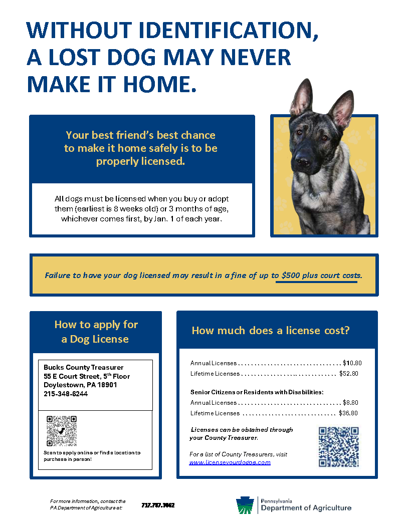WITHOUT IDENTIFICATION, A LOST DOG MAY NEVER MAKE IT HOME.